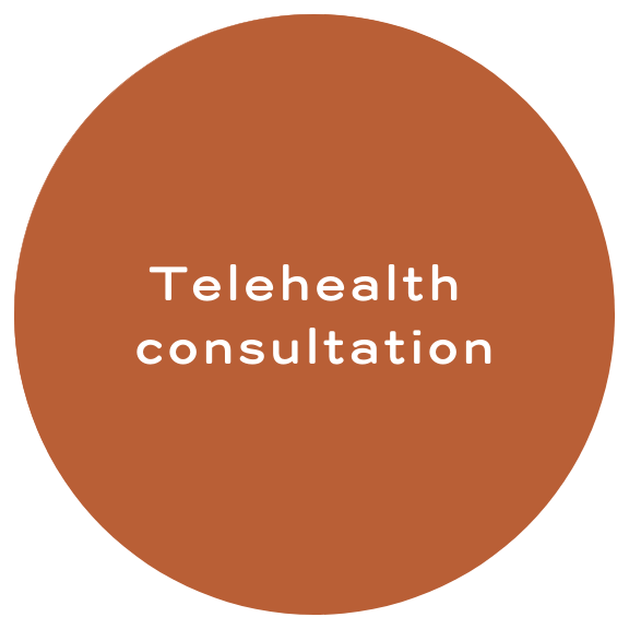 Telehealth consultation