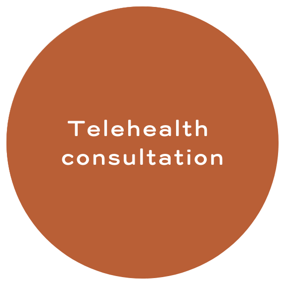 Telehealth consultation