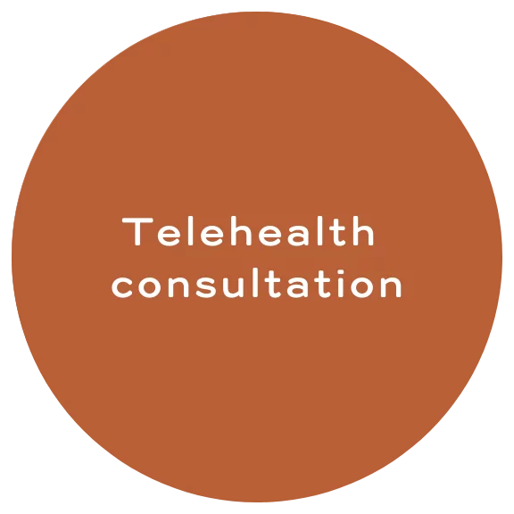 telehealth-consultation Telehealth consultation